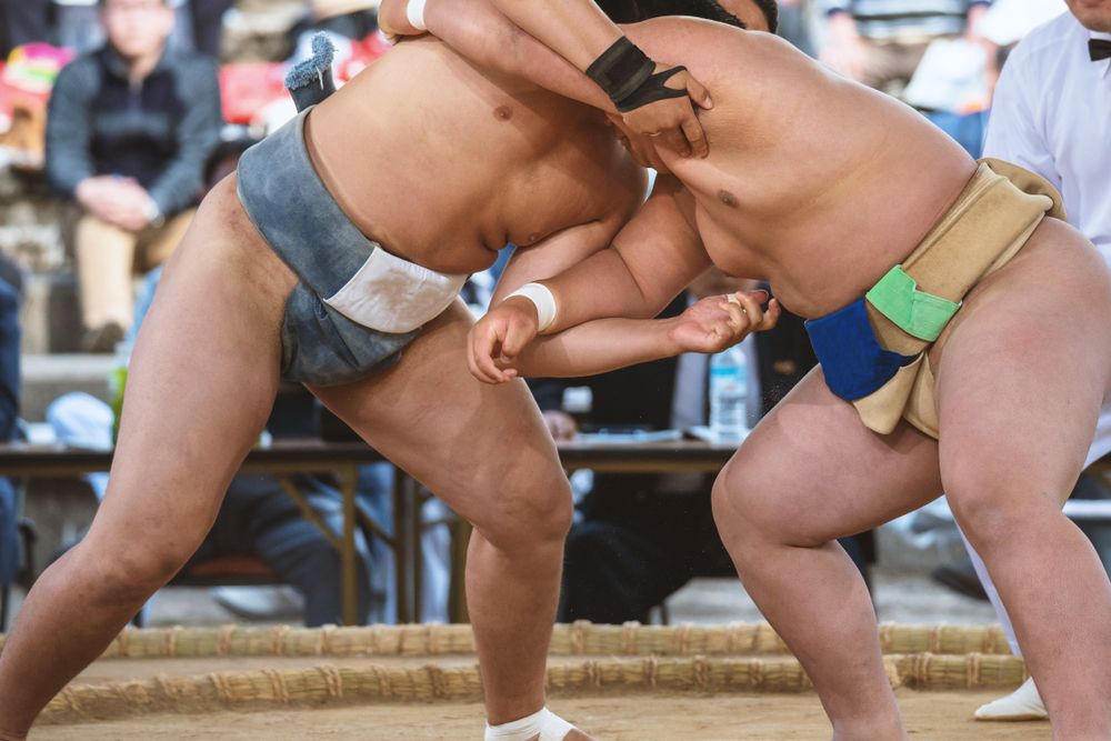 sumo-technique