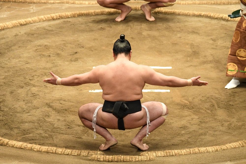 sumo-tournoi