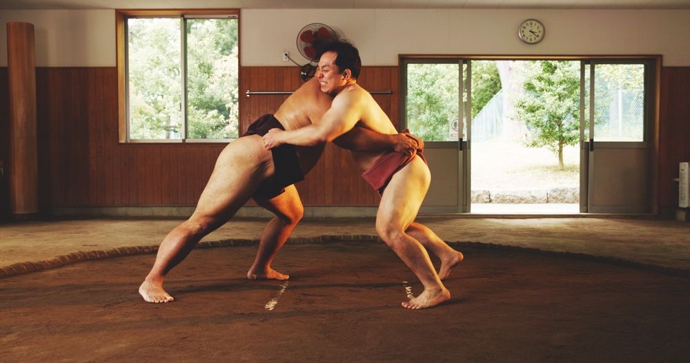 sumo-entrainement