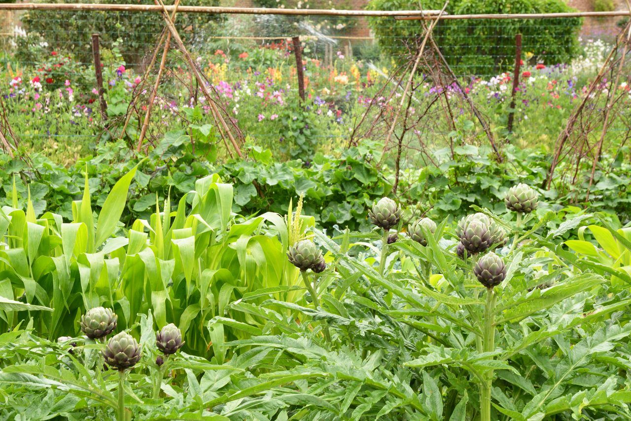 Potager historique Dieppe