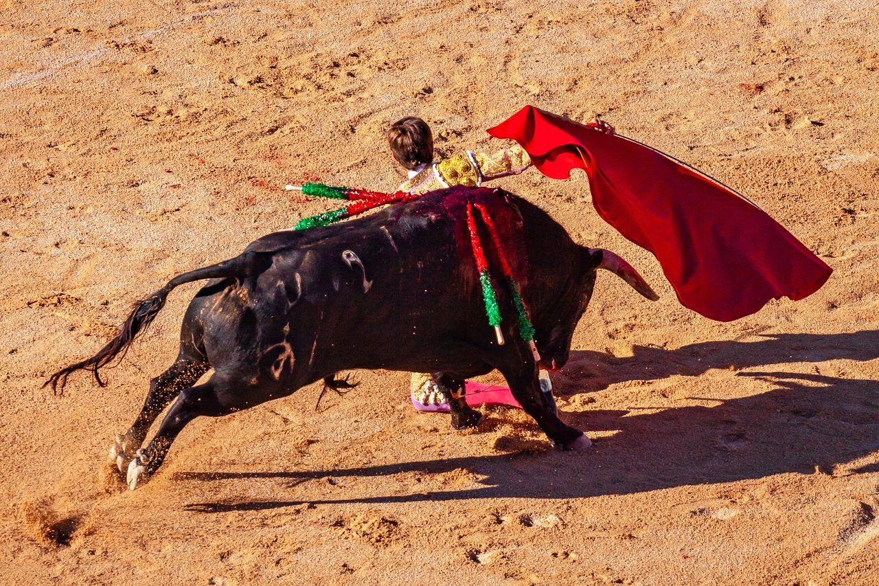 Feria de Nîmes