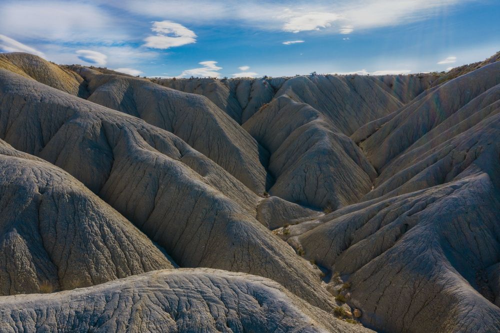 desert-de-mahoya