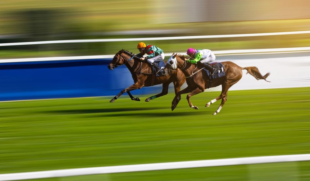 jockey-world-cup-dubai