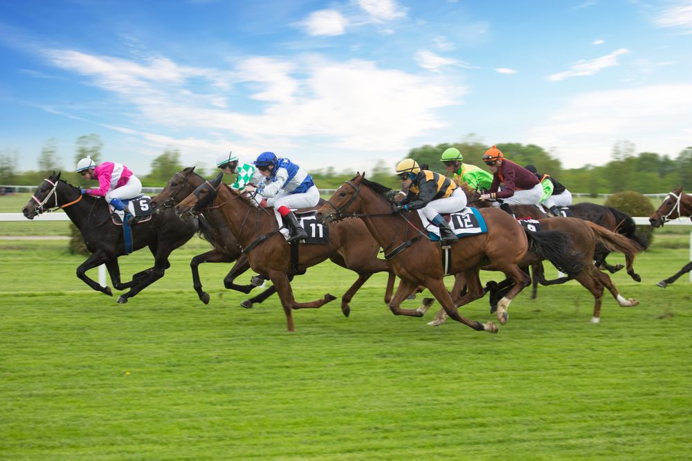 Dubai World Cup : la course hippique la plus riche