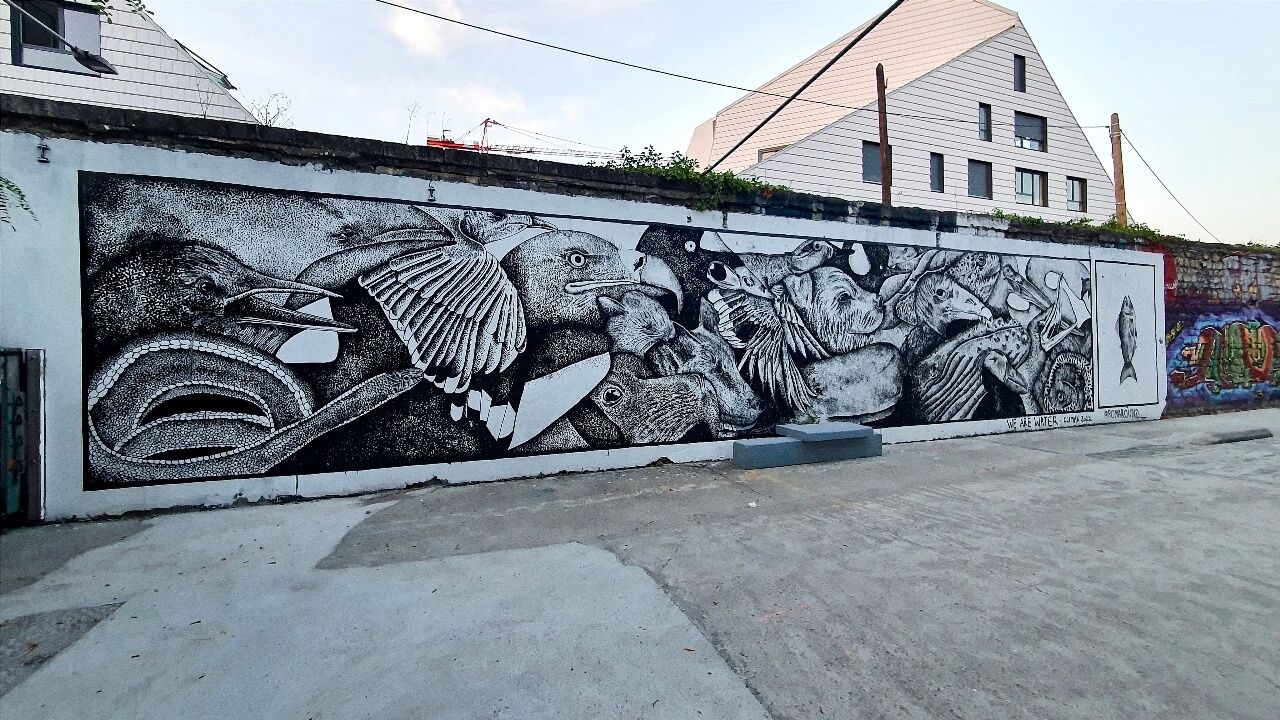 Street art Darwin Bordeaux