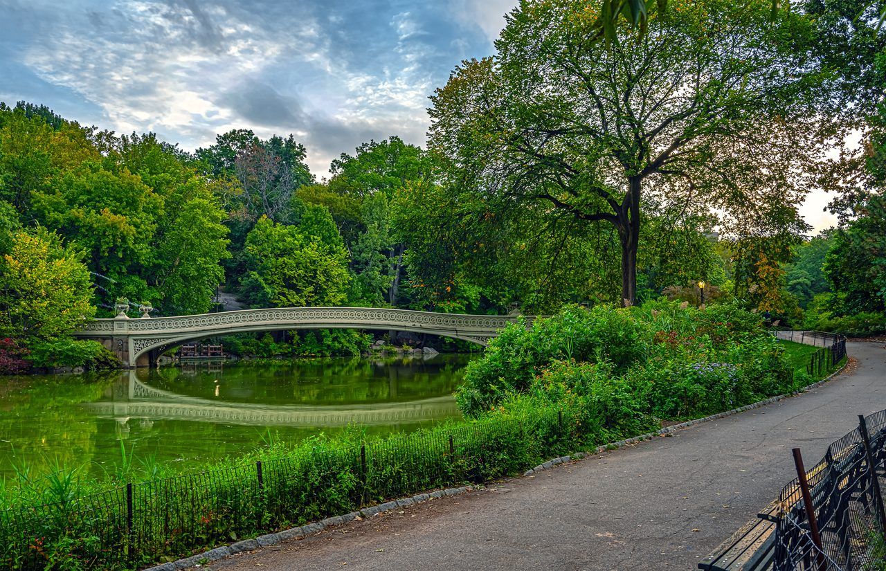Central Park