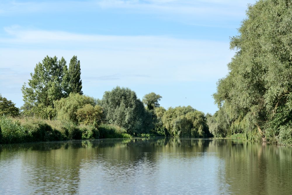 marais-audemarois