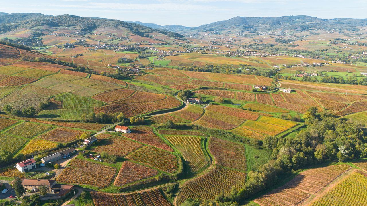 Vignoble Beaujolais