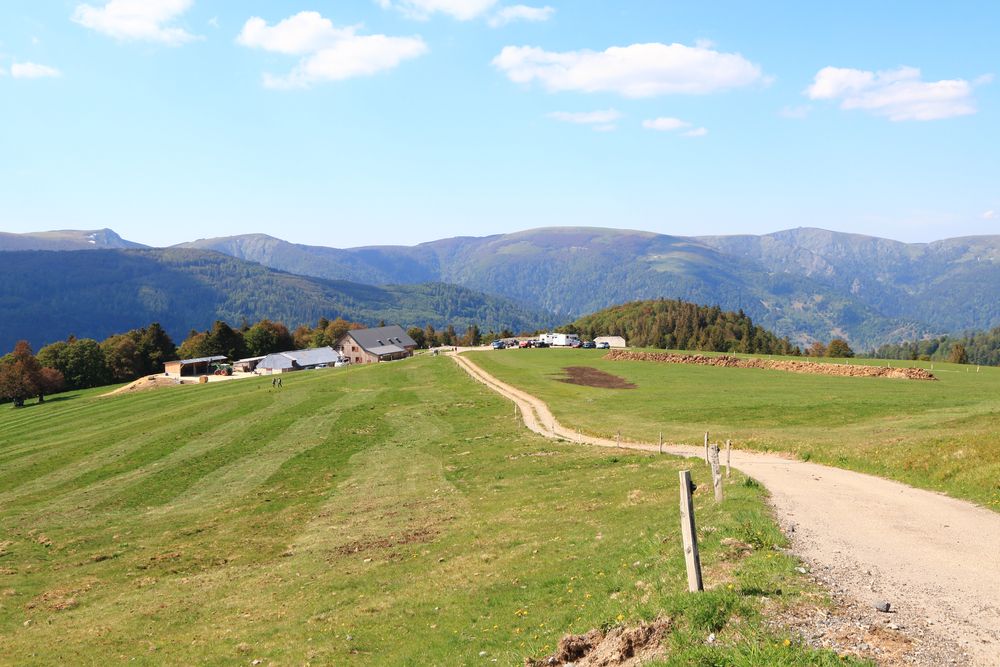 sentier-randonnee-alsace