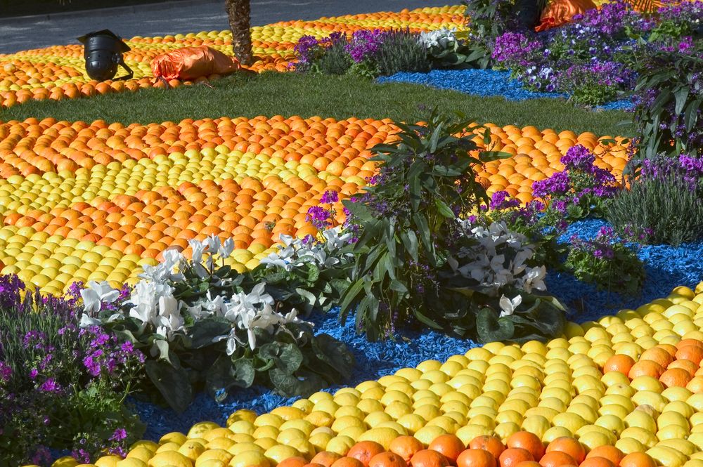 lemon-festival-park