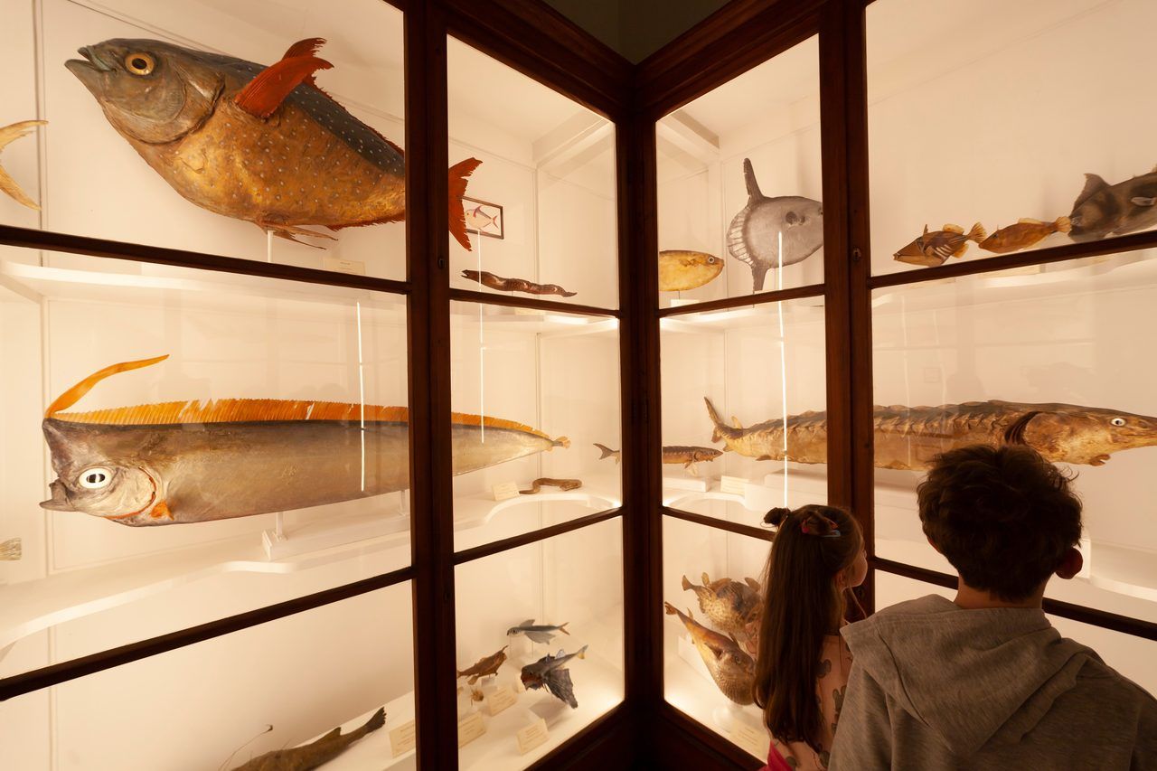 musées Florence enfants
