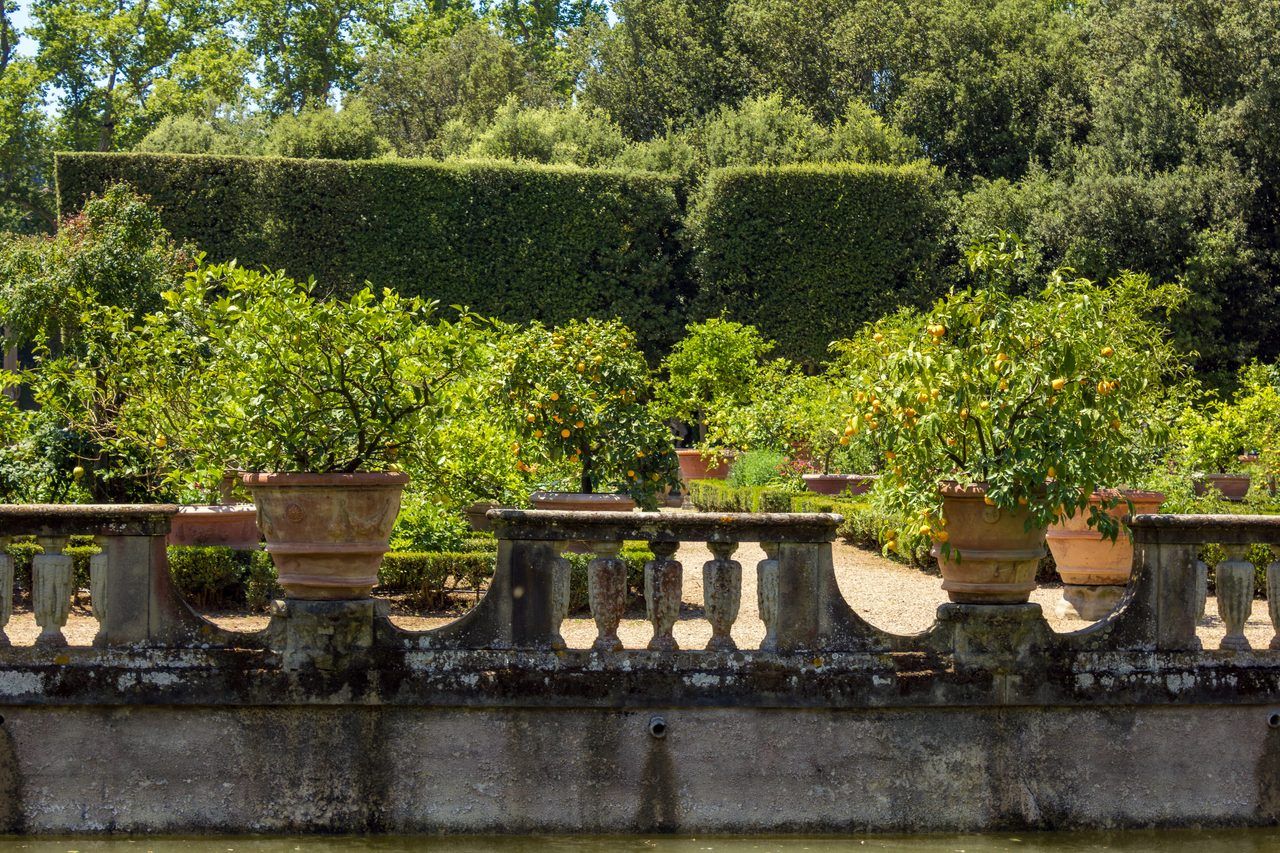 Jardins de Florence