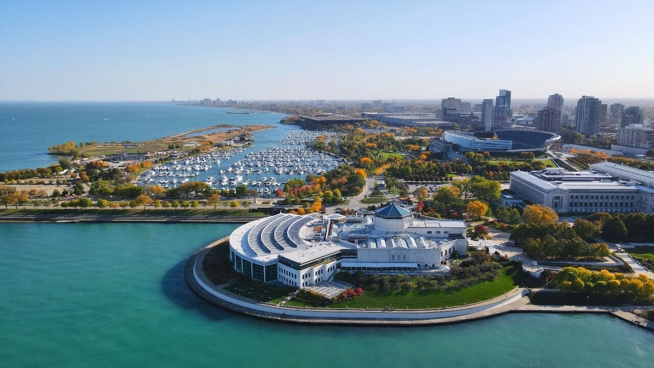 Shedd Aquarium