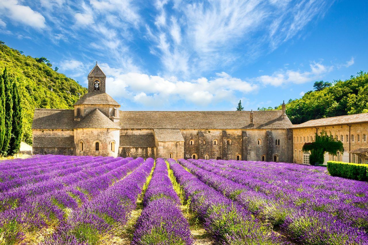 Champs de lavande Gordes