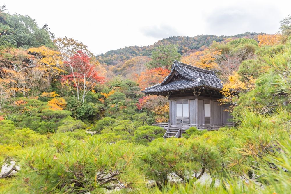 Autumn,Leaves,At,Okochi,Sanso,Garden,,Kyoto,Prefecture