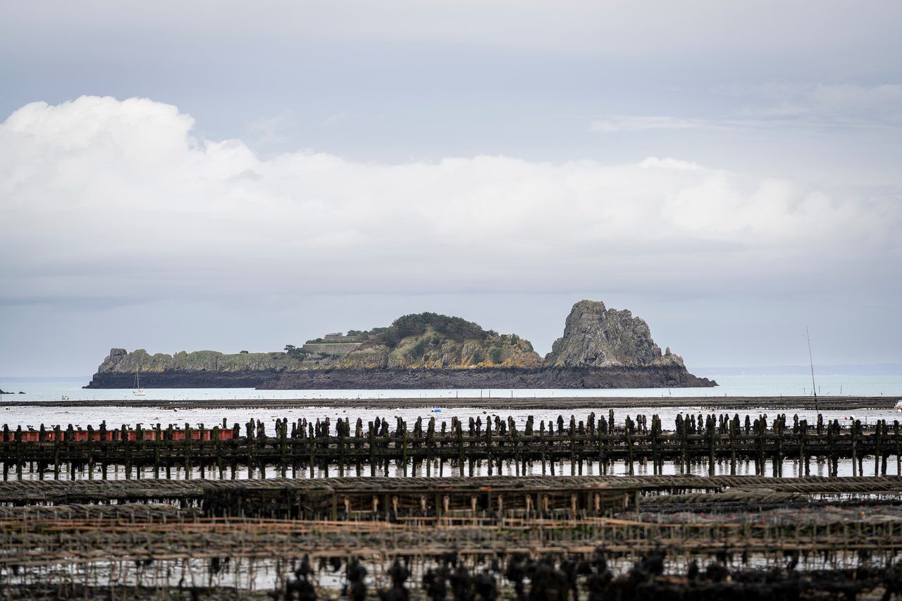 Huîtres de Cancale