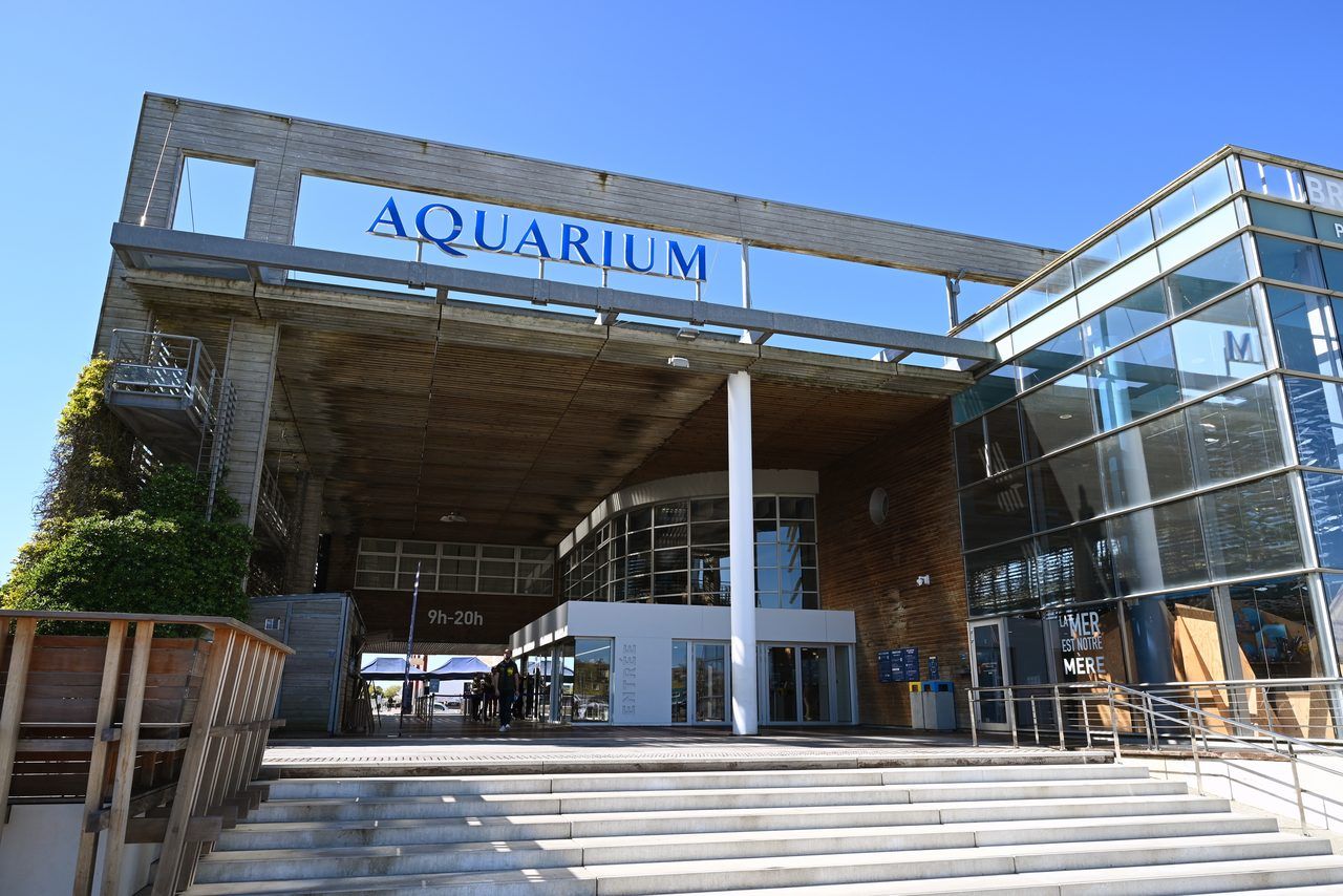 Aquarium La Rochelle