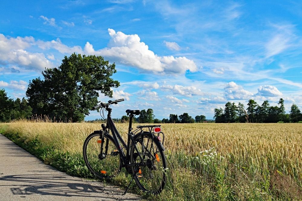velo-landes
