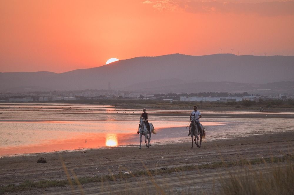 cheval-plage-landaise