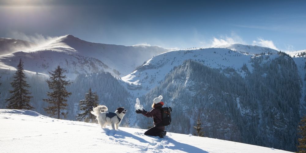 sport-d-hiver-france