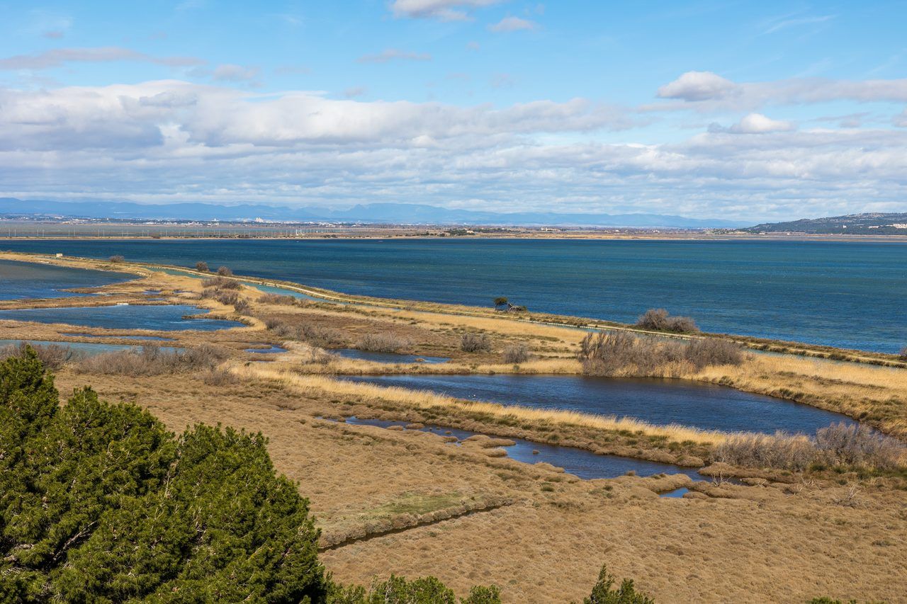 Étang de Bages-Sigean