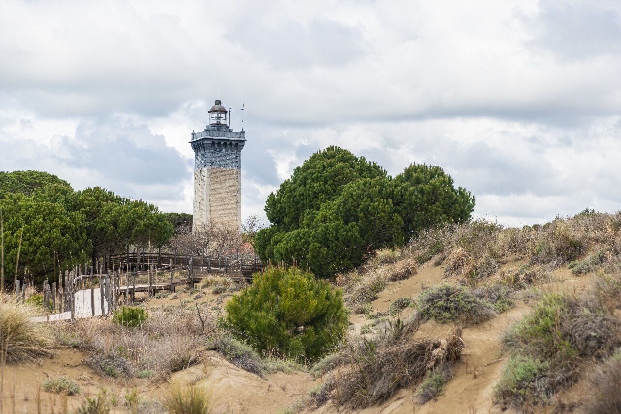 Espiguette dunes