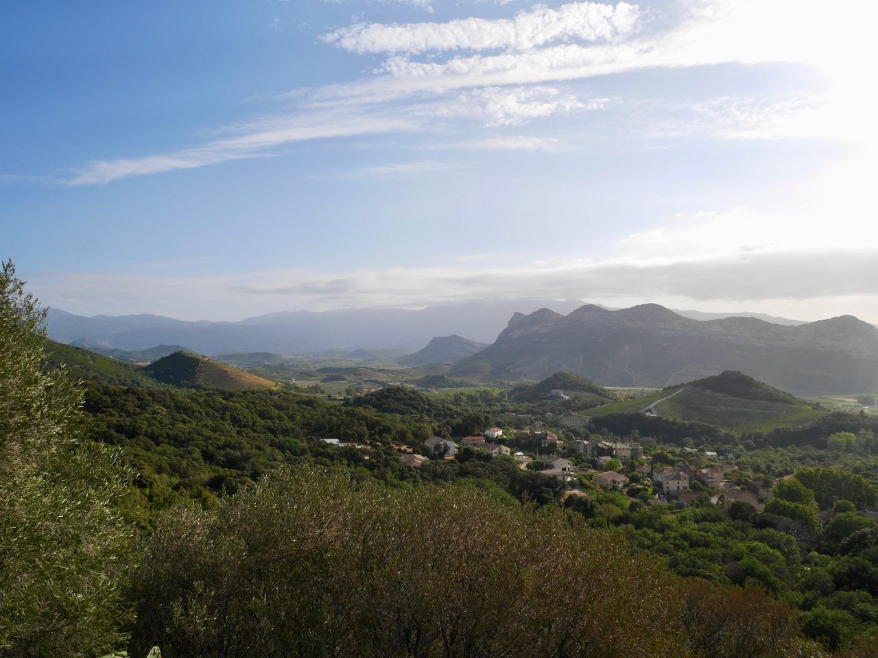 Vignoble Patrimonio Corse