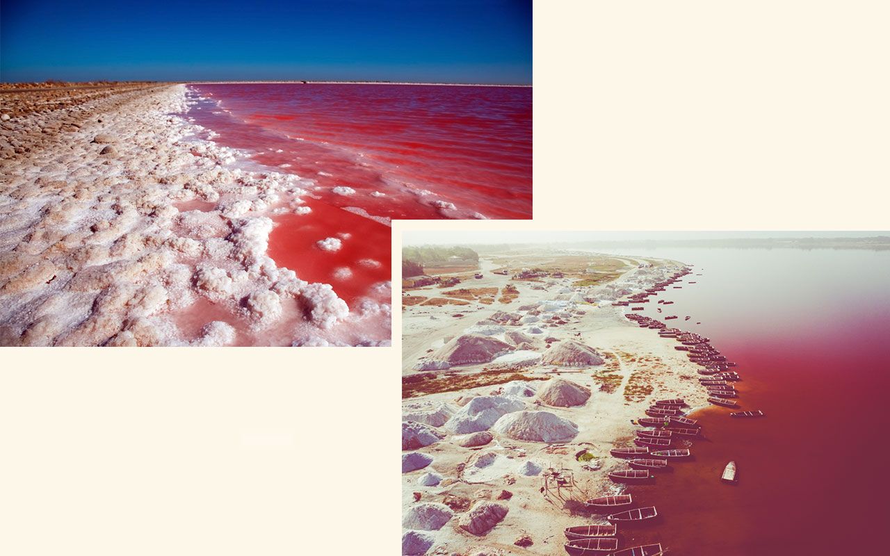 camargue-lac retba senegal