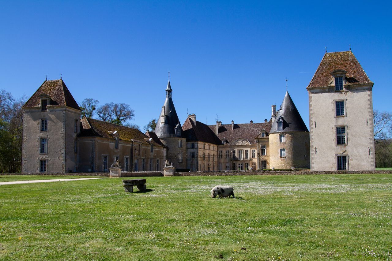 Château de Commarin