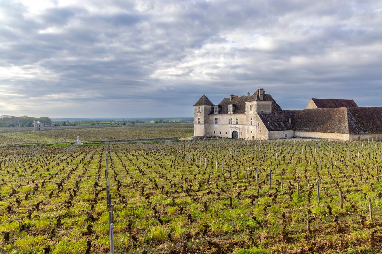 Clos Vougeot