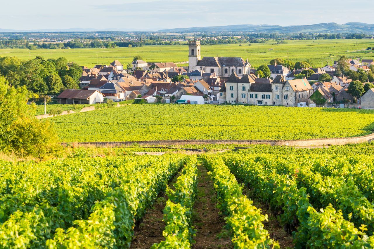 Village de Pommard