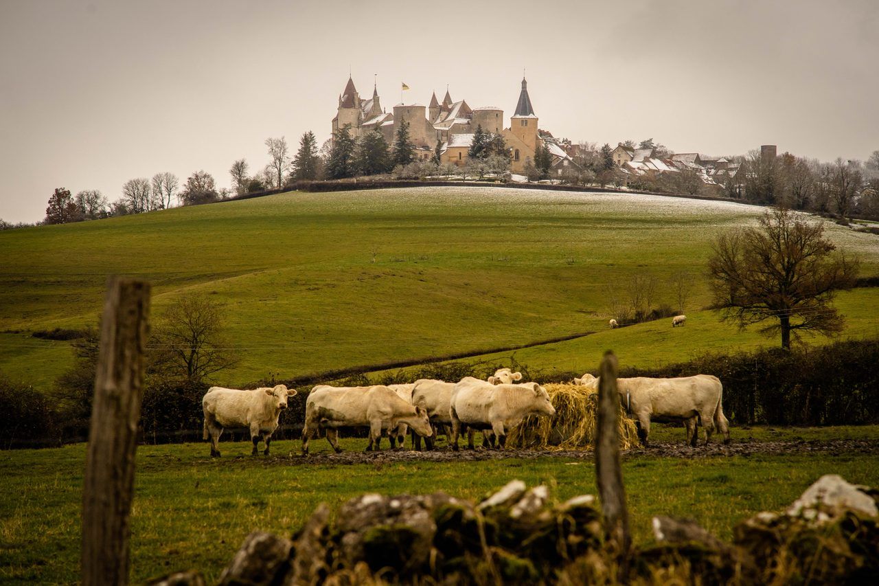 Châteauneuf-en-Auxois
