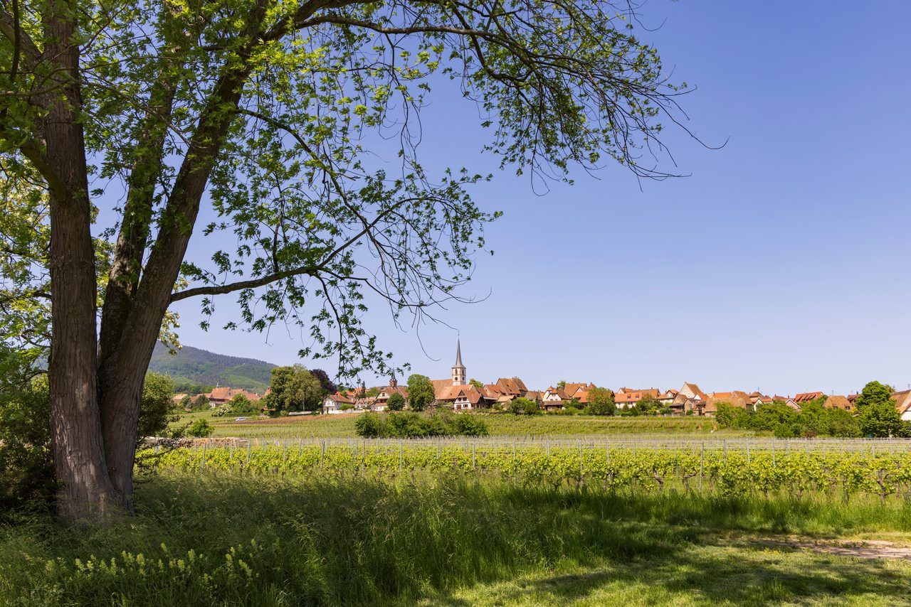 Mittelbergheim village