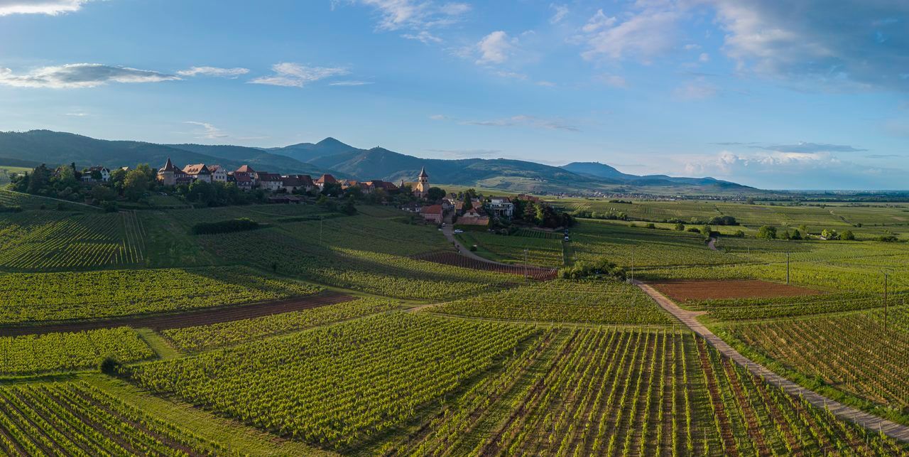 Village de Zellenberg
