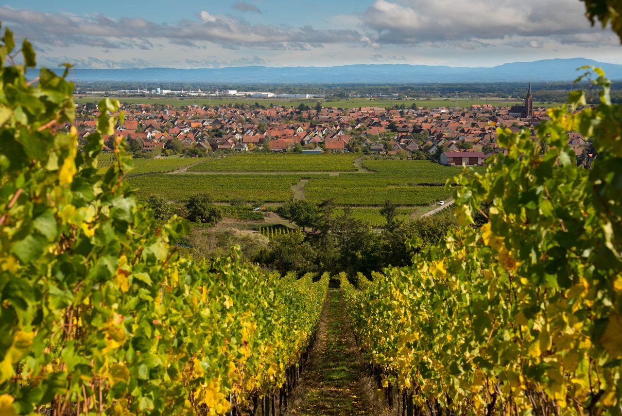 Scherwiller Alsace