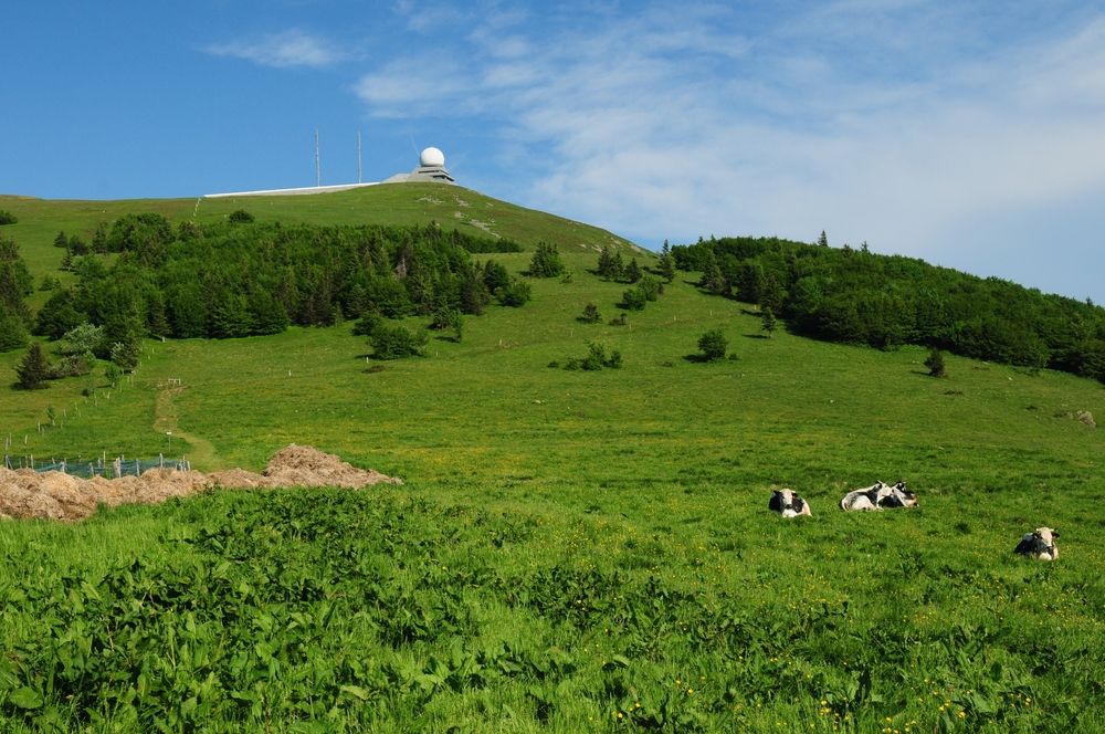 View,To,The,Le,Grand,Ballon,Mountain,Vosges,Mountains,France