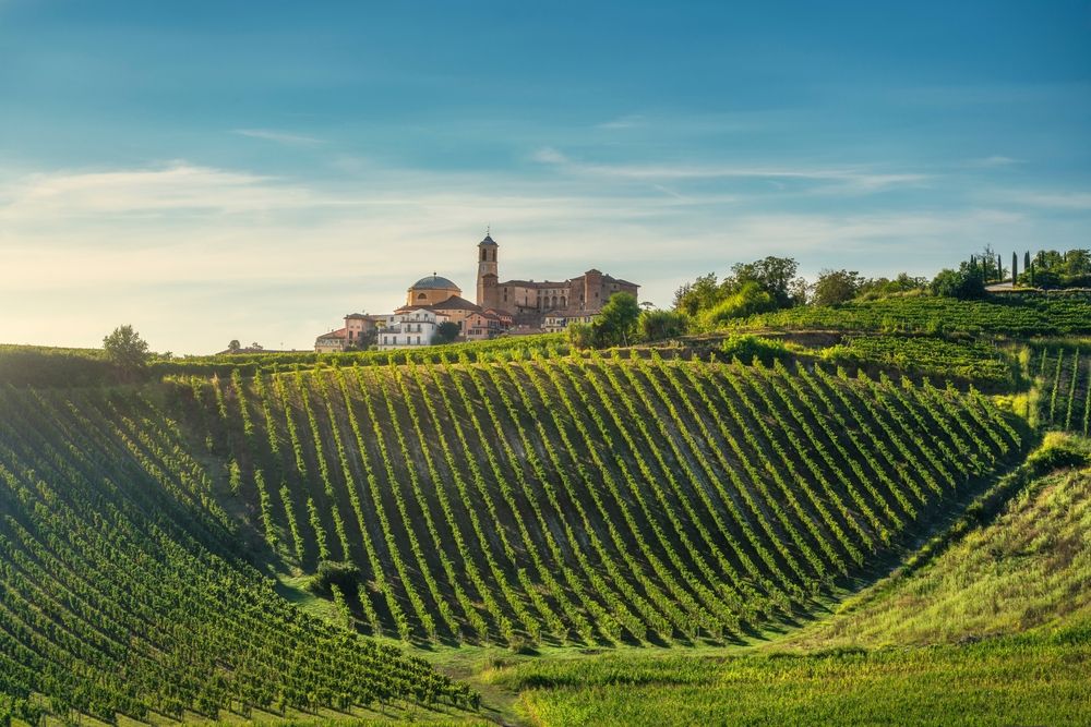 vignobles-asti