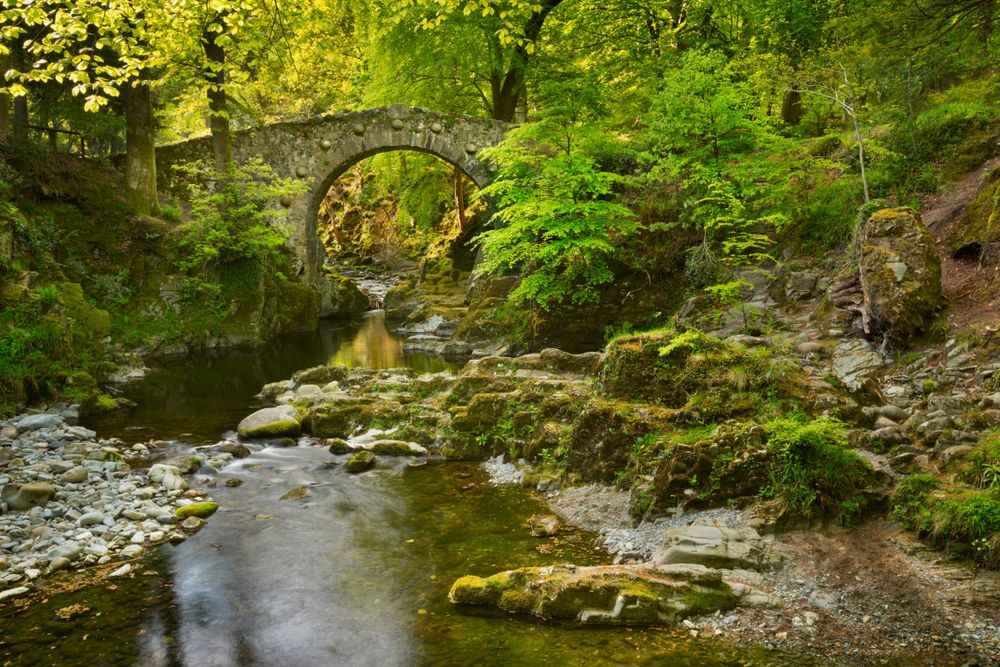 tollymore-forest-park