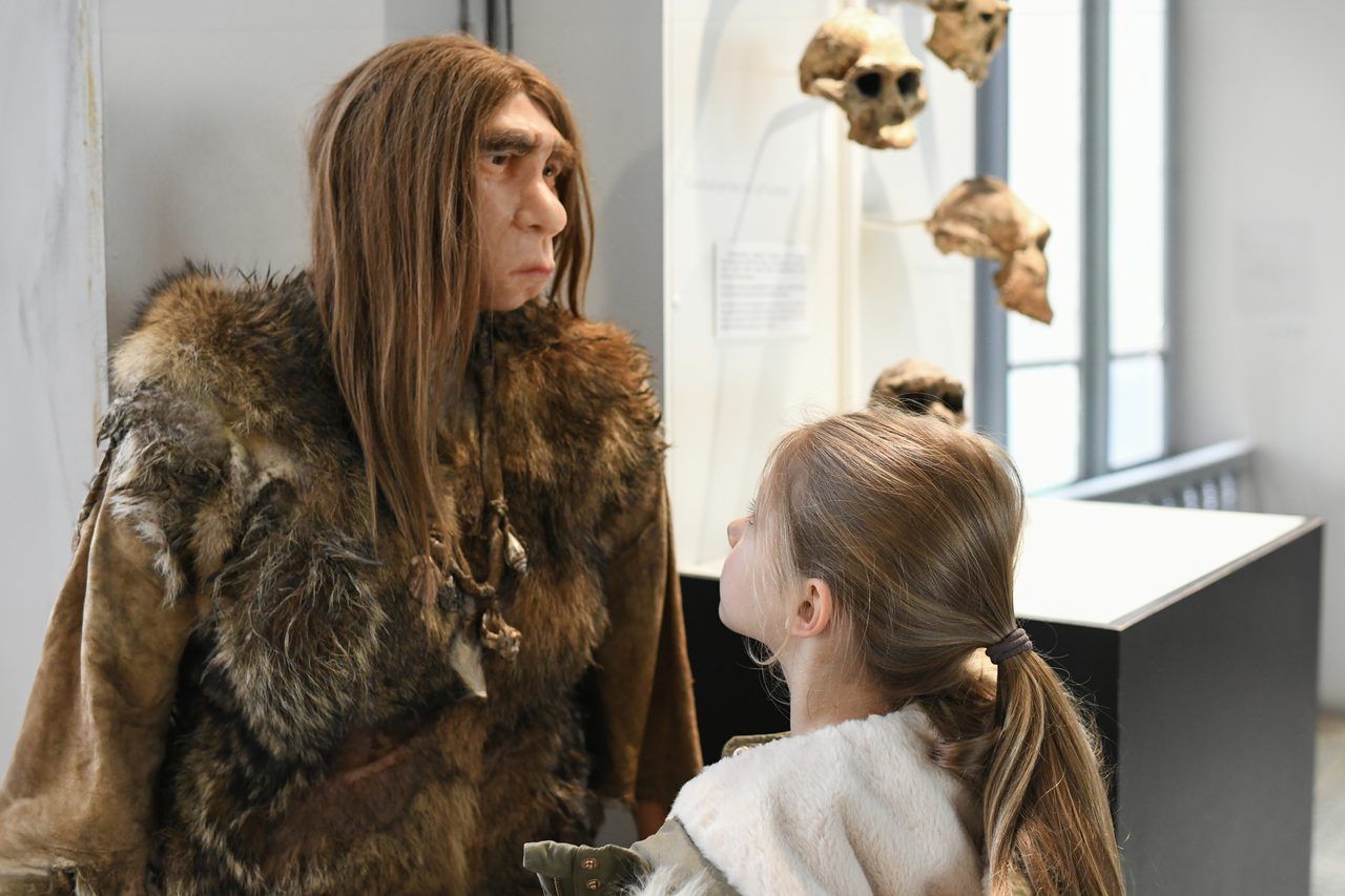 Muséum d'histoire naturelle Lille