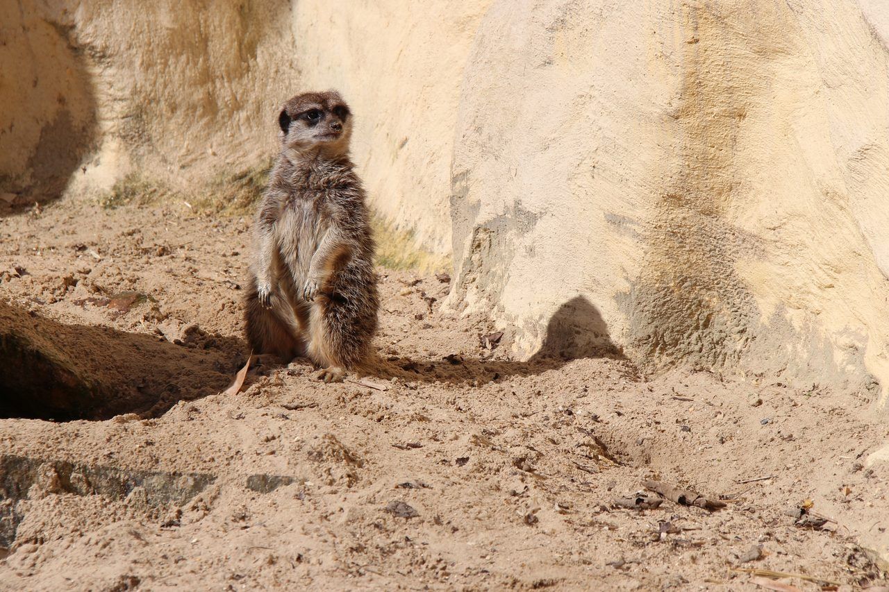 Zoo de Lille