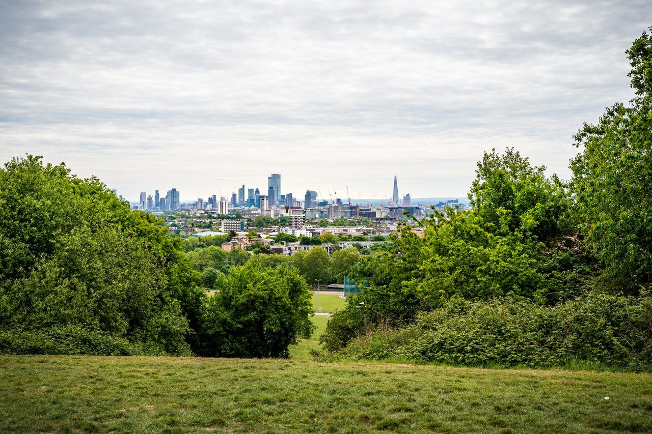 Hampstead Heath