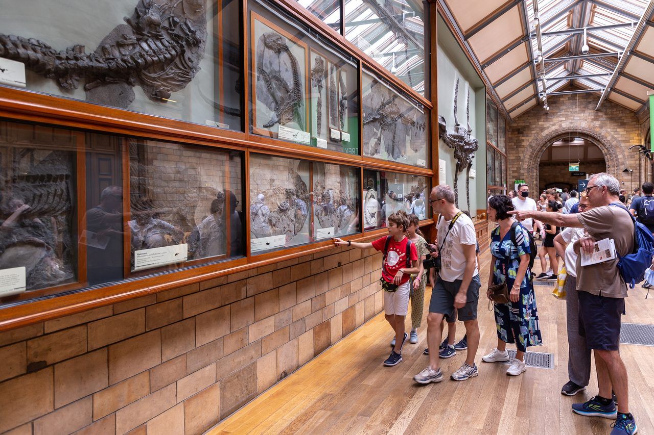 Natural History Museum Londres