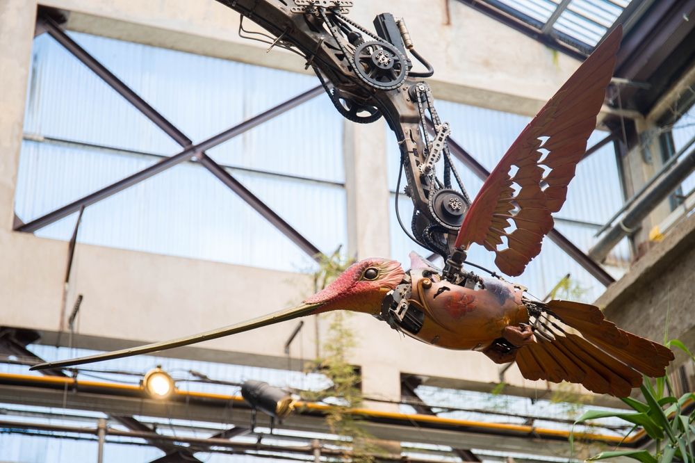 colibri-mahcine-nantes