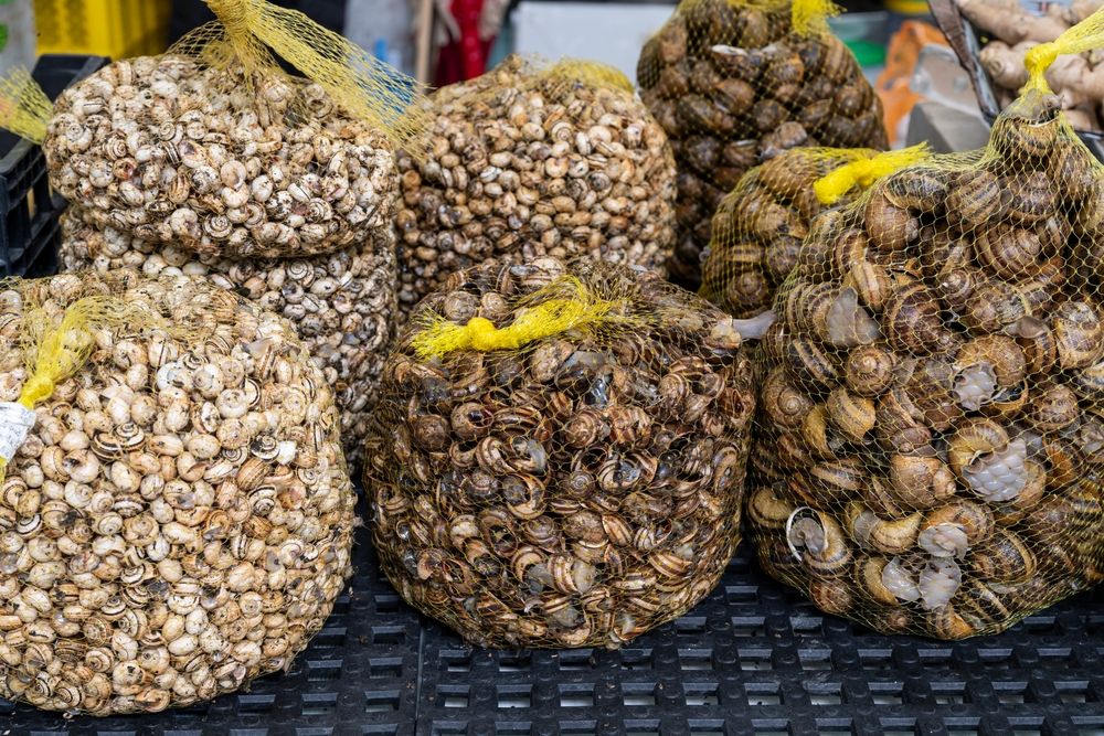 mercado-de-arroios