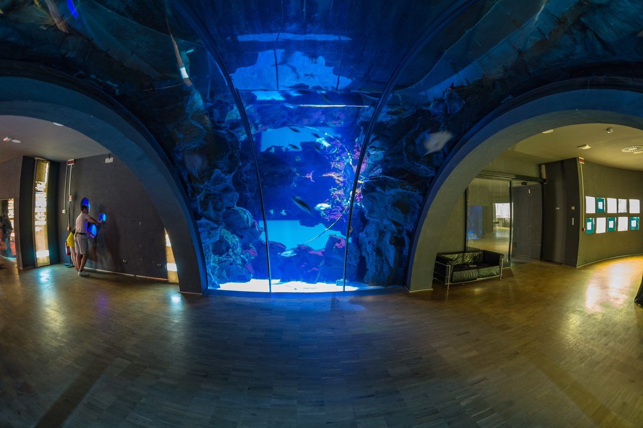 Acquario Civico Milano