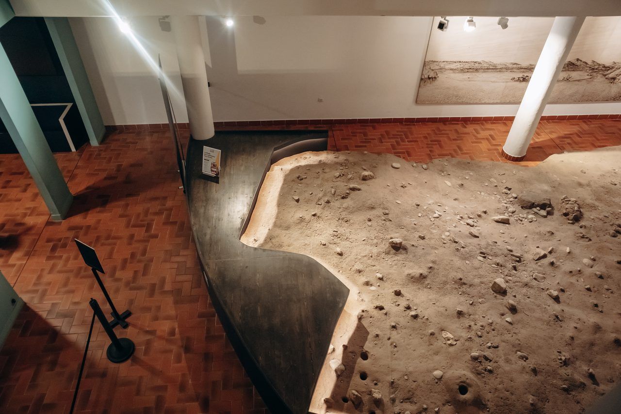 Musée Terra Amata