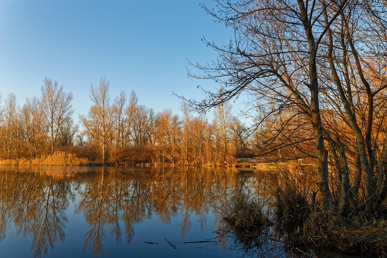 piscine naturelle Lyon
