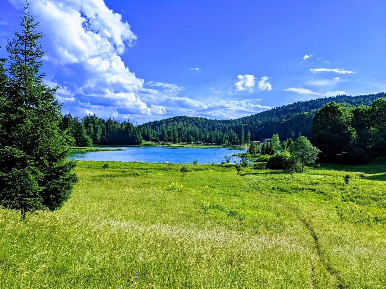 Lac Genin