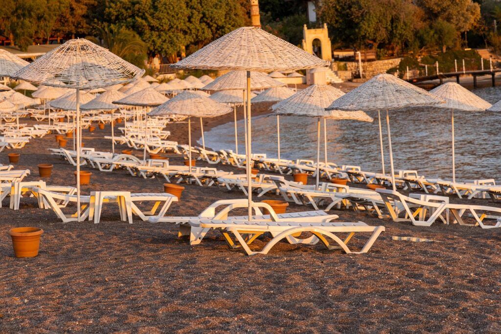 bamboo-beach