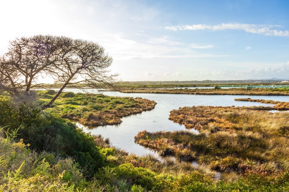 Ria,Formosa,Natural,Park,In,Faro,,Algarve,,Portugal